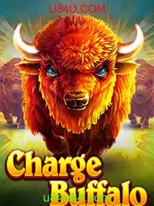 Descubra o Mundo do ChargeBuffalo: Um Guia Completo